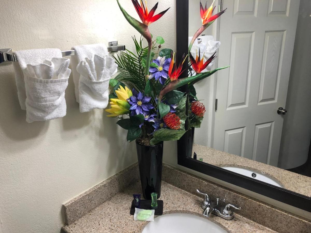 Econo Lodge Choice Hotels I 95 Savannah Gateway 24 Hour Fitness Center On Site Guest Laundry On Site Perkins Restaurant Georgetown Bagian luar foto