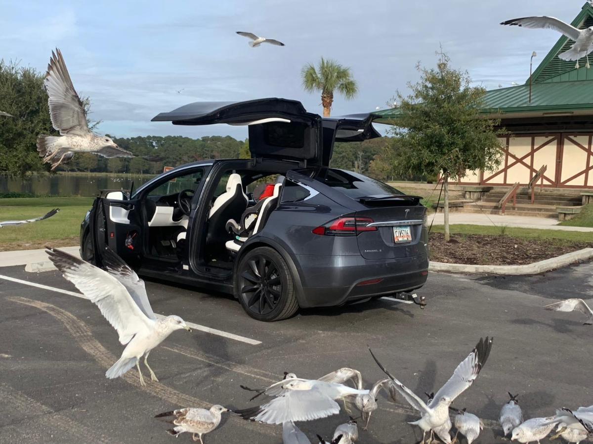 Econo Lodge Choice Hotels I 95 Savannah Gateway 24 Hour Fitness Center On Site Guest Laundry On Site Perkins Restaurant Georgetown Bagian luar foto